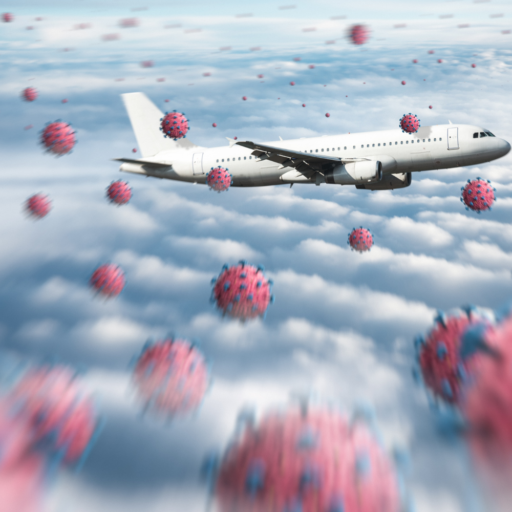 013 | Are travel restrictions effective against Covid-19?