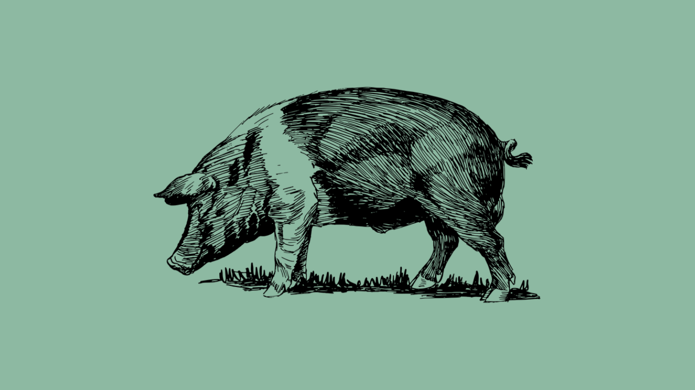 How Substack delivered its users onto Apple